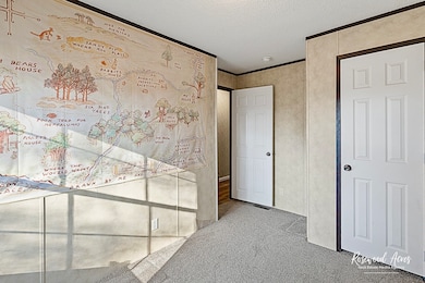 unlisted-address, Manteno, IL 60950 - photo 6