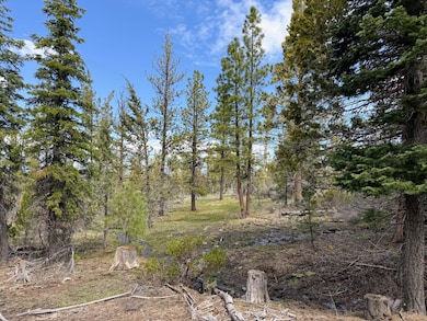 0 Yellowjacket Spring Rd unit 220202108, Beatty, OR 97621 - photo 6