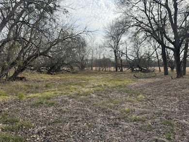 Tbd Cr 22900, Paris, TX 75460 - photo 3