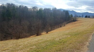 9999 Justice Dr, Leicester, NC 28748 - photo 6