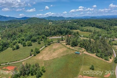 43 Don Felmet Rd, Leicester, NC 28748 - photo 5