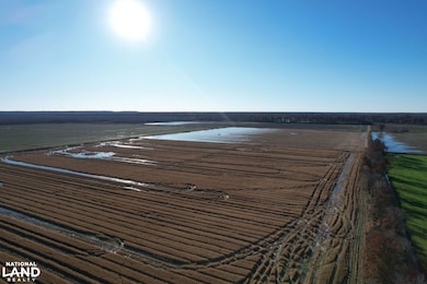 001 Il Route 3, Olive Branch, IL 62969 - photo 7