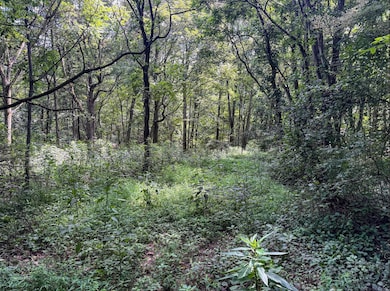 TBD Scenery Hill Rd, Wellsburg, WV 26070 - photo 5