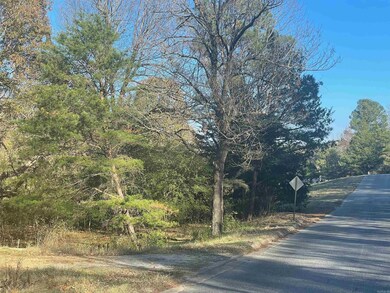 0 Shiloh, Paragould, AR 72450 - photo 4