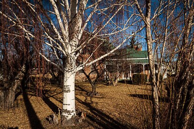Mature Landscaping