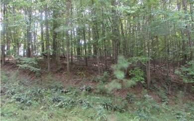 Additional View
