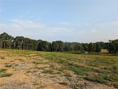 0 Ohio 7, Lisbon, OH 44432 - photo 4