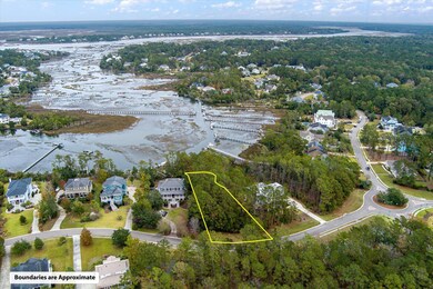02-3640 Coastal Crab_d_Lowcountry_Exposu