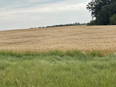 TBD 400th St, Erhards Grove Township, MN 56572 - photo 3