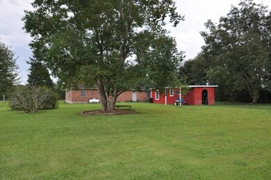 Rear of Home and Shed