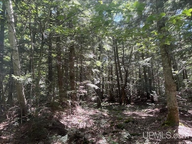 94 +/- Acres Peter White Rd, Deerton, MI 49822 - photo 6