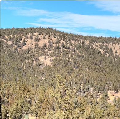 Property at lower knoll