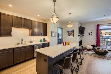 75 W 4th St unit 306, Silverthorne, CO 80498 - photo 4