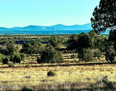 228, Concho, AZ 85924 - photo 7
