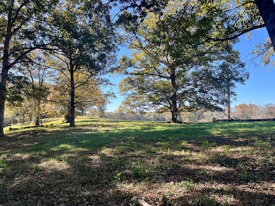 000 Childs Rd, Troy, AL 36081 - photo 3