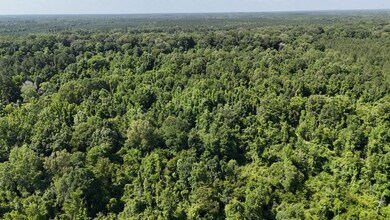 333 Yocum Rd unit LotWP002, Trout, LA 71371 - photo 4