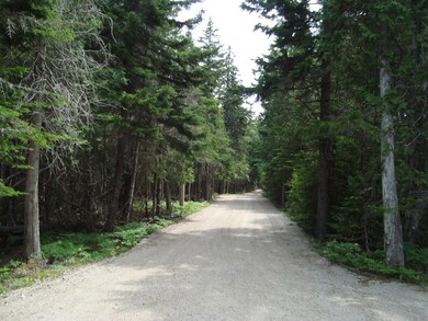 DSC02703