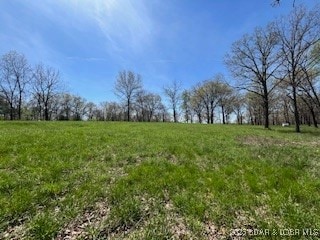 (Gravois Arm) Timber Ridge Estates, Versailles, MO 65084 - photo 2