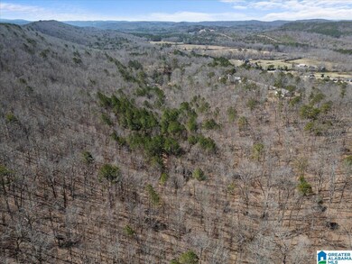 0 Oak Ridge Dr unit 21431508, Oneonta, AL 35121 - photo 7