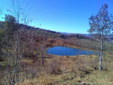 Land/Lot.