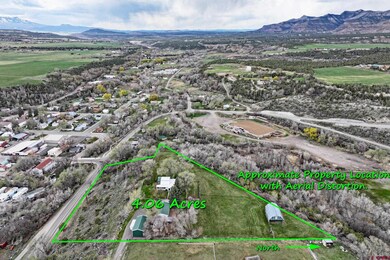 58590 Pe 3 10 Rd, Collbran, CO 81624 - photo 4