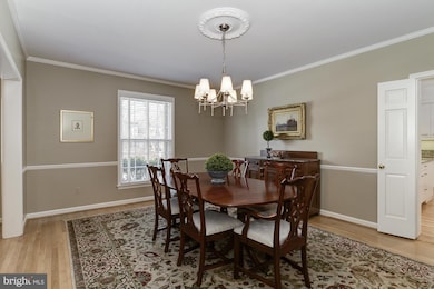 8205 Coach St, Potomac, MD 20854 - photo 6