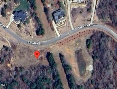 236 Emelia Ln, Fearrington, NC 27312 - photo 2