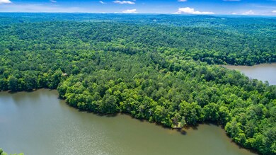 1691 Sturdivant Rd, Jacksons Gap, AL 36861 - photo 7