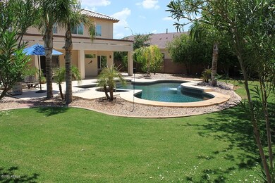 backyard1