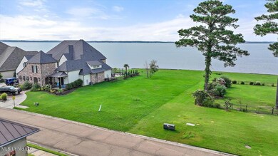 421 Arbor View, Brandon, MS 39047 - photo 6