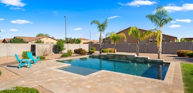 Backyard6