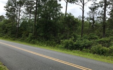 TBD Scenic Lake Dr, Lake City, FL 32055 - photo 2