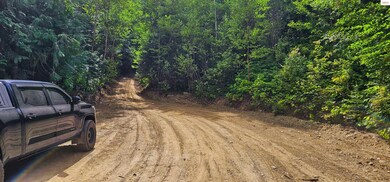 NNA 35 Acres Otter Ln, Naples, ID 83847 - photo 4