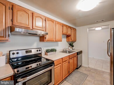 1040 Deer Ridge Dr unit 408, Baltimore, MD 21210 - photo 7