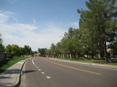 Tree Lined Streets
