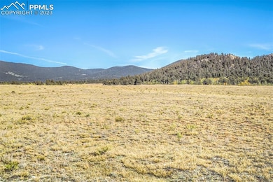 4250 Ute Trace Rd, Hartsel, CO 80449 - photo 7