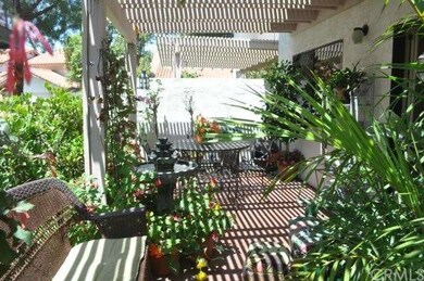 Enclosed patio garden accessed by sliding door fro