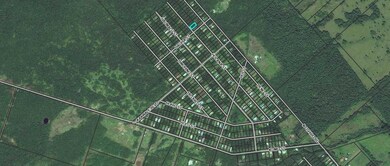 0 Holana St, Mountain View, HI 96771 - photo 2