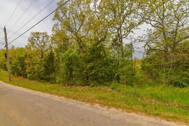 Tbd Catfish St & Drum St, Kissee Mills, MO 65680 - photo 7