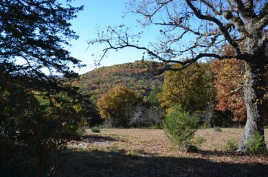 Lot 11 Bartels Subdivision, Kimberling City, MO 65686 - photo 4