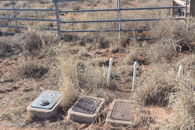 Snowflake Heights 010