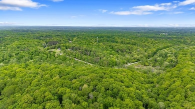 7449 Crow Cut Rd, Fairview, TN 37062 - photo 6