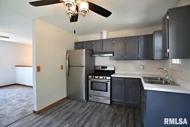 2424 W 58th St, Davenport, IA 52806 - photo 6