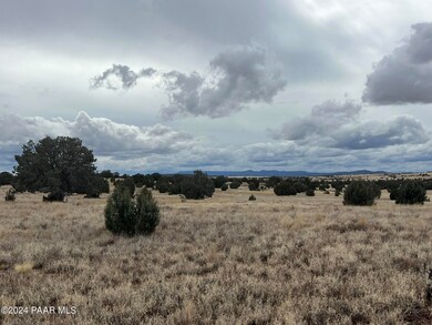 60 Off of Rawhide Ranch Rd, Ash Fork, AZ 86320 - photo 5