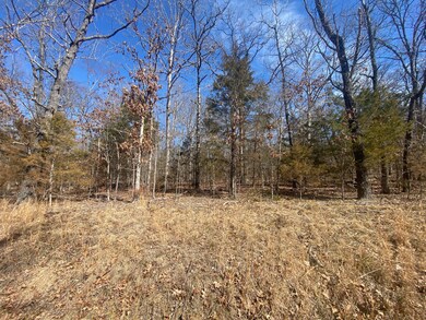 Lot 4 Montego Dr, Ruth B Rural Township, MO 65686 - photo 2