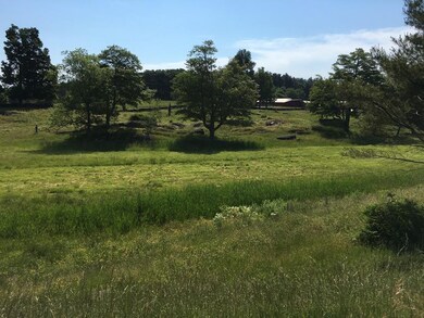 93 Steady Ln, Ashfield, MA 01330 - photo 6