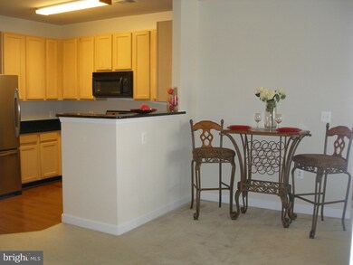 42420 Hollyhock Terrace unit 103, Ashburn, VA 20148 - photo 6