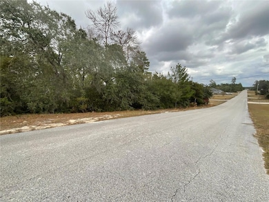 TBD SW 111th Place, Ocala, FL 34476 - photo 3