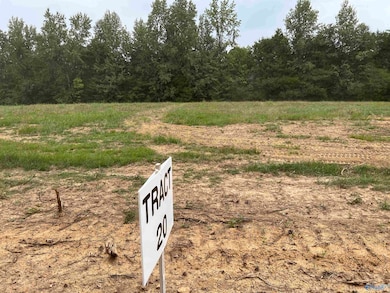 21208 Holland Rd, Athens, AL 35614 - photo 5