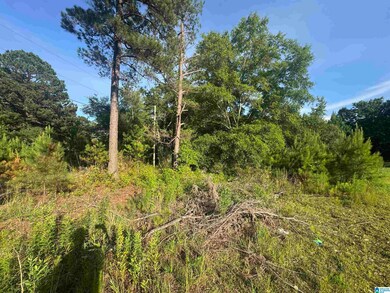 1162 County Road 40, Salem, AL 36874 - photo 4